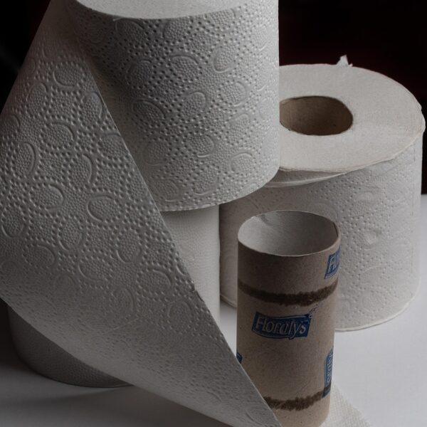toilet paper, toilet, hygiene, role, paper, loo, wc, corona, hamster purchases, virus, paper roll, empty, sanitary, leaf, wall, roll, fear, nature, schreck, coronavirus, pastime, meeting, bathroom