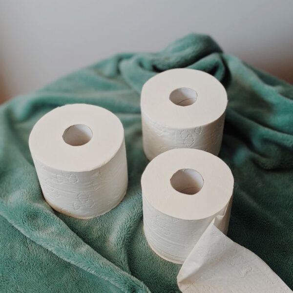 Three toilet paper rolls arranged on a soft green blanket, creating a cozy and clean hygienic feel.